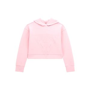 j2bq35-fl03s-g63p-sweatshirt-girl-guess-face-powder