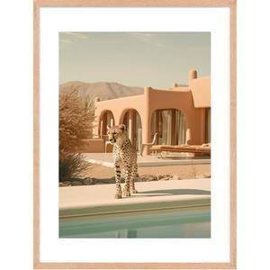 kb1550hag-urbanzoo12-poster-hartman-urban-zoo-12-multicolor-50x70-cm