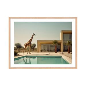 kb1551hag-urbanzoo13-poster-hartman-urban-zoo-13-multicolor-50x70-cm