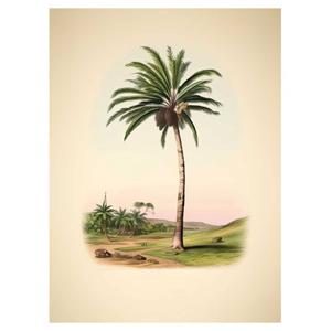 product/h/a/hartman_kb1763har-encyclo06_0.jpg