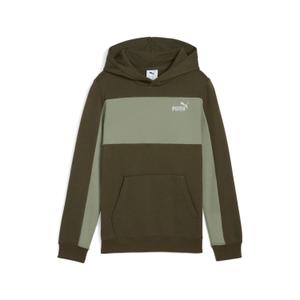 690784-70-child-hoodie-puma-essentials-block-small-logo-green