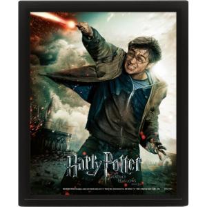 641har009-3d-lenticular-frame-pyramid-harry-potter-expelliarmus-black-20-5x4-5x25-5-cm